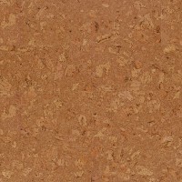 Spice P908 003 - 2