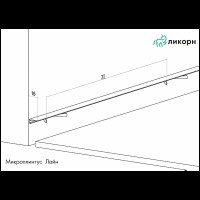 микро плинтус Ликорн Лайн шампань анодированный - 2