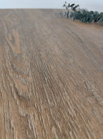 Discostar Sandra - 1