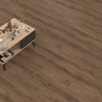 Grotesk AquaOut 4V D50797 Дуб Ринальдо - 1