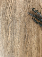 Discostar Sandra - 2