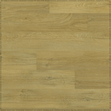 Rich FF-2095 Дуб Олиб