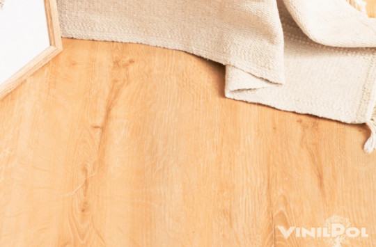 7891 -EIR Дуб Латина