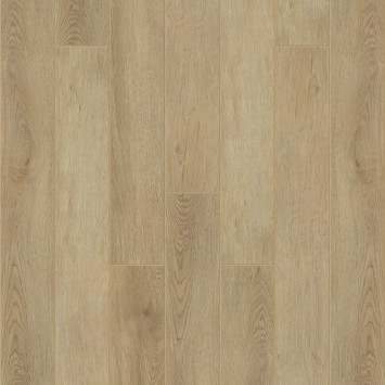 JOLI J1006 Зиркон