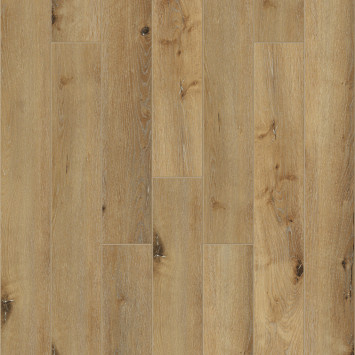 JOLI J1004 Дримерс