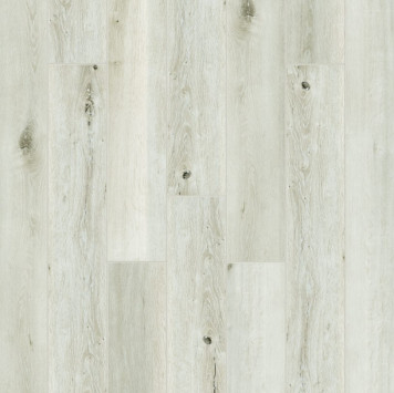 Radical Chic Белуна RC002