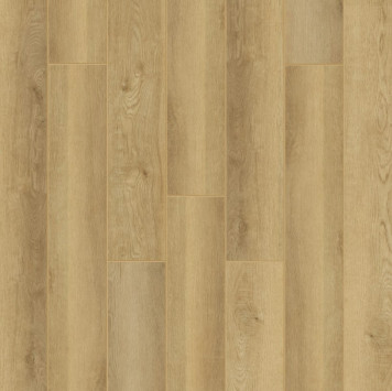 Radical Chic Селеста RC003