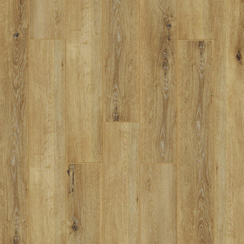 Radical Chic Таксония RC004