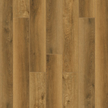 Radical Chic Илма RC008