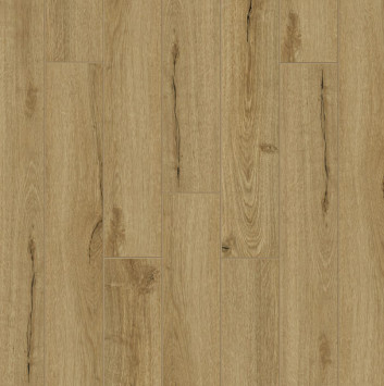 Radical Chic Блейд RC009