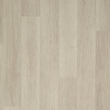 Acczent Pro Berne 2 3.00 м.*20.00 м. (60 м.кв.)
