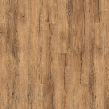 Glamrock Cooper 257075006