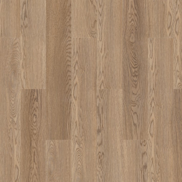 Glamrock Iggy 257075005