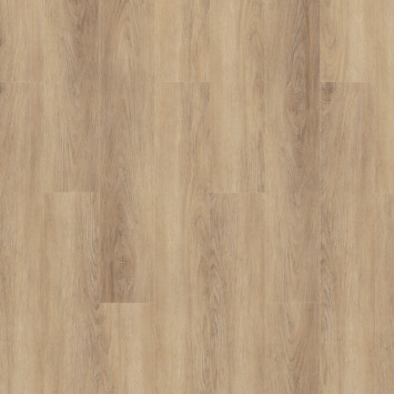 Glamrock Motley 257075004