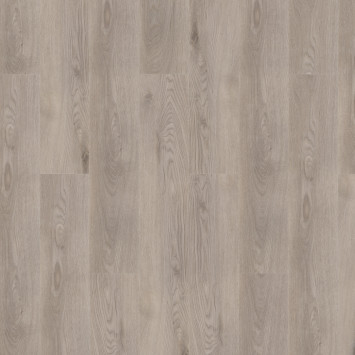 Glamrock Steele 257075003