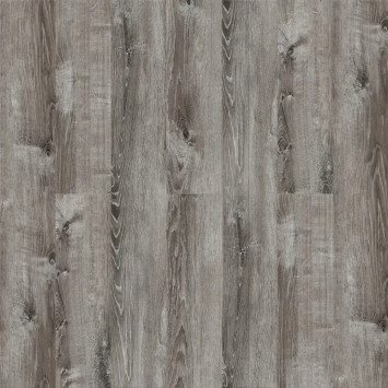 Камбер 47089 Банджо