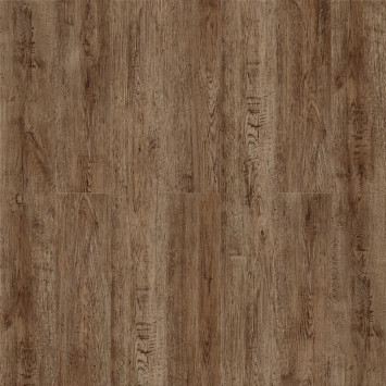 Камбер 47099 Литавры