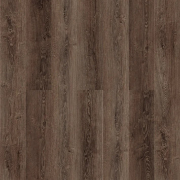 Камбер 47109 Треугольник