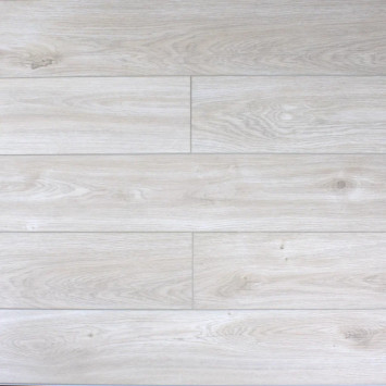 Камбер 47119 Челеста