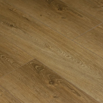 Камбер 47129 Бубен