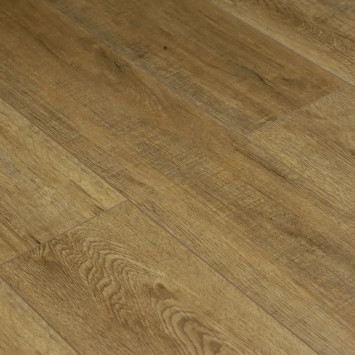 Камбер 47149 Тарелки