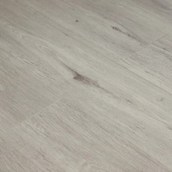 Камбер 47169 Ксилофон