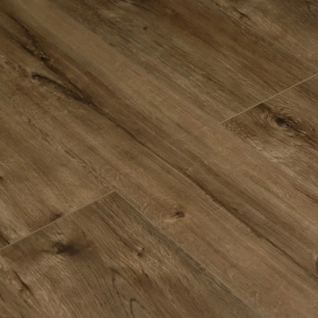 Камбер 47189 Колокола