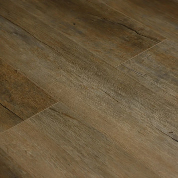 Камбер 47199 Кастаньеты