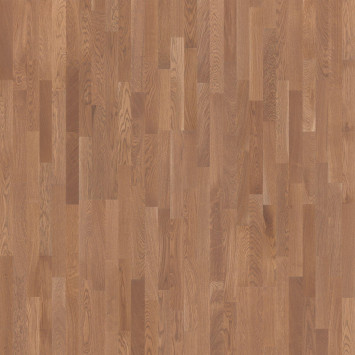 KONSTRUKTOR Дуб Висбю 550269006