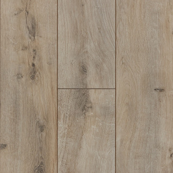 Violet Дуб Восток FP1121