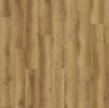 SOLIDA Acoustic Traditional Oak 03866LA