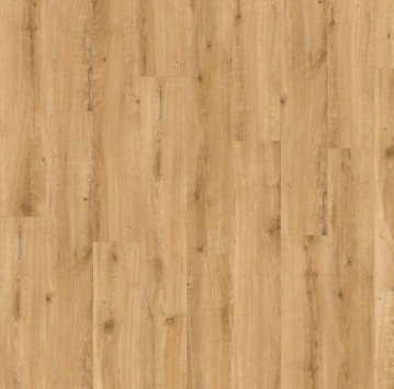SOLIDA Acoustic European Oak 04270LA