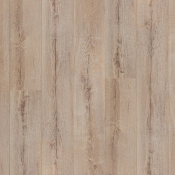 Дуб Дали FP579