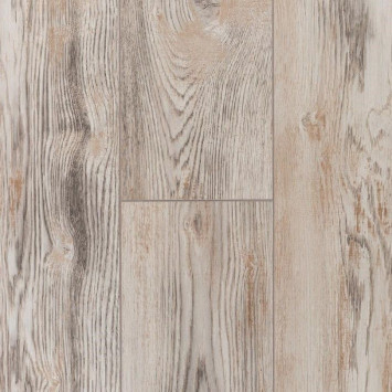 La Moena Bellamonte LM-03 Дуб Чезаре