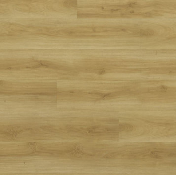 FF-1521 Дуб Базель