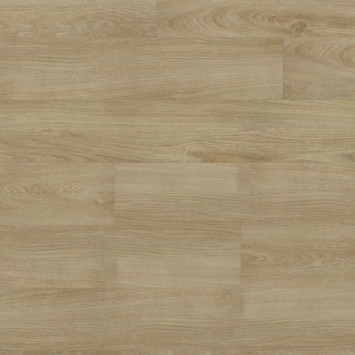 FF-1537 Дуб Лиенц