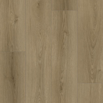 Quantum (Квантум) 9567 Дуб Робертс с подложкой