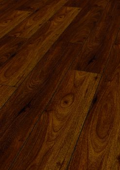 D2913 каньон Андироба