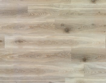 Дуб Элегантный Светлый 62000144